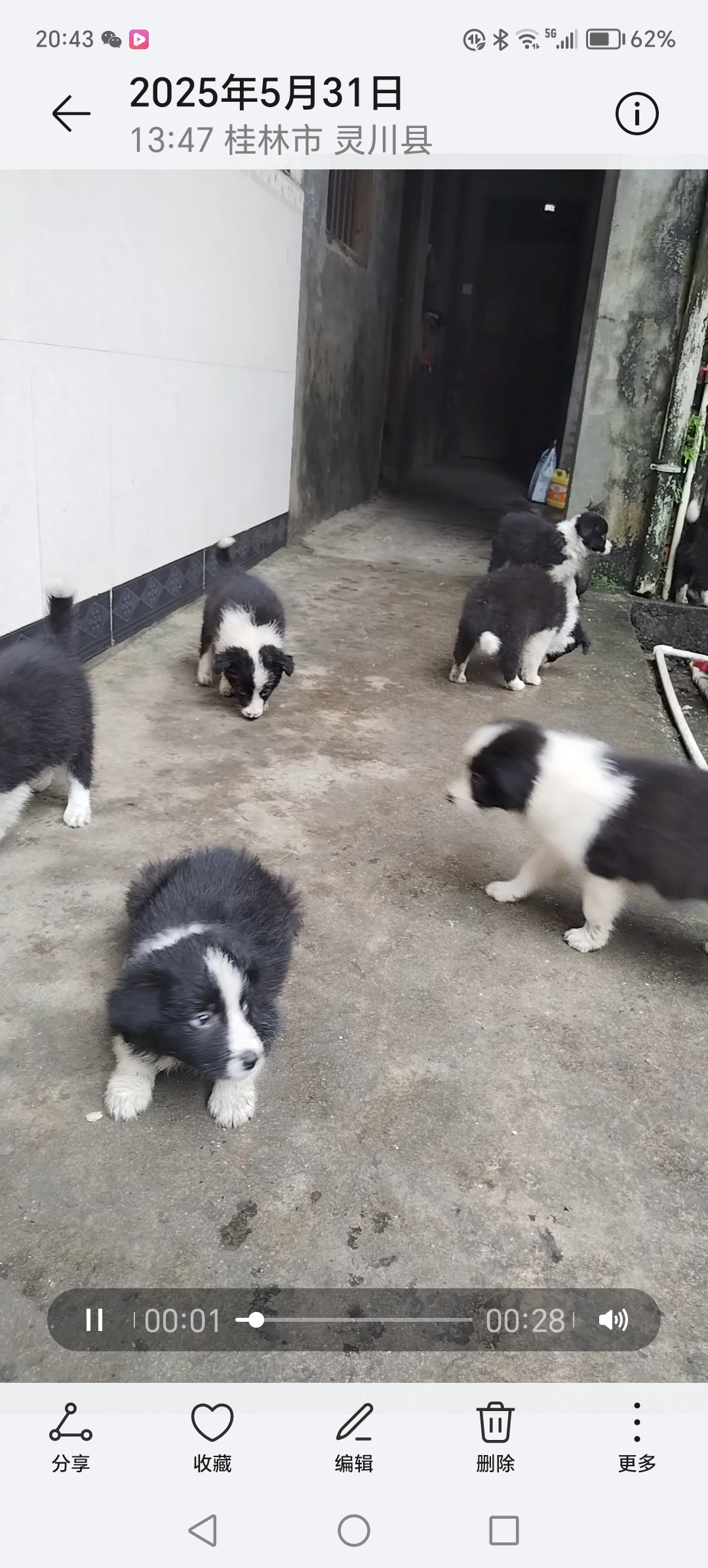 小牧牧